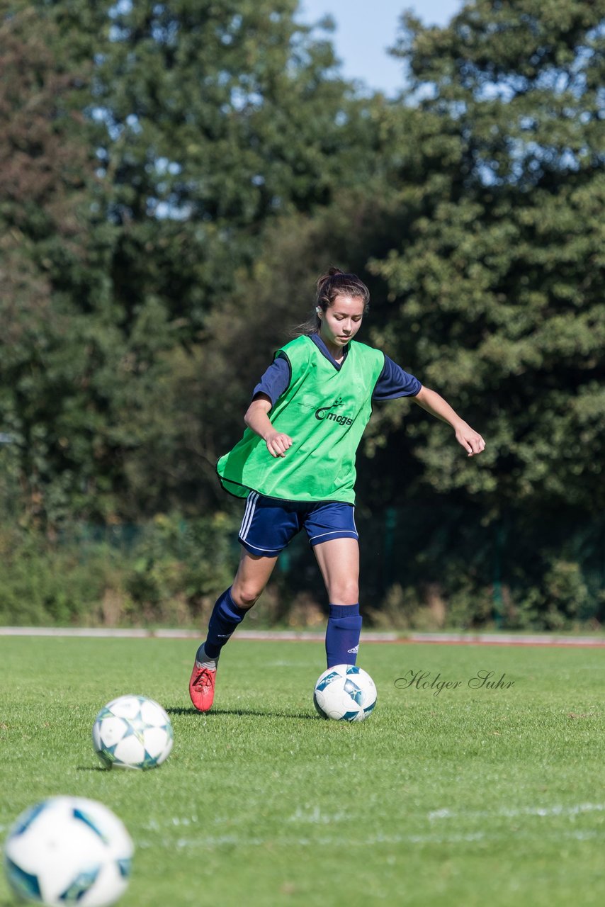 Bild 209 - Frauen SV Wahlstedt - ATSV Stockelsdorf : Ergebnis: 2:2